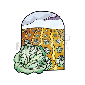 This clipart image depicts a large, leafy green cabbage in the foreground with a farm field in the background where several rows of cabbage or lettuce are planted. The sky is overcast, suggesting a cloudy day ideal for agriculture.