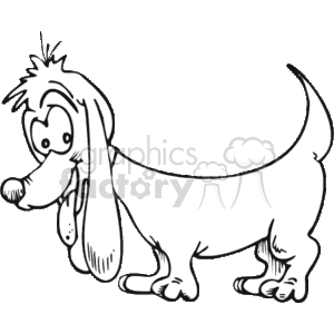 The clipart image features a dachshund, which is a breed of dog known for its long body and short legs. The dachshund in the image is a cartoon portrayal with exaggerated features such as long floppy ears and a big, round nose. The dog is standing and looking slightly upwards, giving it a playful or curious appearance. This image might be used to represent pets, specifically dogs, and to add a whimsical or lighthearted touch to various materials related to animals, pet care, or similar themes.
