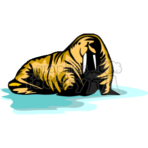 The clipart image displays a stylized illustration of a walrus. You can identify the walrus by its distinctive large tusks, whiskers, and flippers. It appears to be resting on a surface with a small body of water around it, which might be ice since walruses are often found in arctic regions.