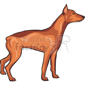 The image is a clipart of a Doberman Pinscher dog. It shows a side profile of the dog in a standing position with its head turned slightly to the left, displaying features like its pointed ears and sleek body which are characteristic of the breed.