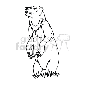 The line art drawing shows a standing grizzly bear, which is a type of brown bear found in North America. The bear is depicted facing forward with its paws outstretched and appears to be roaring or growling.