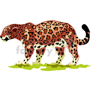 The image is a clipart representation of a big cat, specifically a cheetah, characterized by its spots and streamlined body shape. It is depicted standing on a simple green patch which may suggest grass.