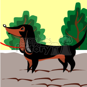 The clipart image shows a cartoon of a dachshund. The dachshund is depicted with typical features such as a long body and short legs, with a smooth black and tan coat. 