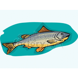The clipart image features a stylized illustration of a salmon fish. The salmon appears to be drawn with simple yet distinctive lines, portraying its characteristic body shape, fins, and facial features. The coloration includes shades of blue, gray, and yellowish-orange, which could suggest the common coloration of specific salmon species.