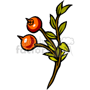 The clipart image features a stylized branch with red berries and green leaves. It has a simple and clean design, common for seasonal decoration themes, particularly relating to autumn or the Thanksgiving holiday.