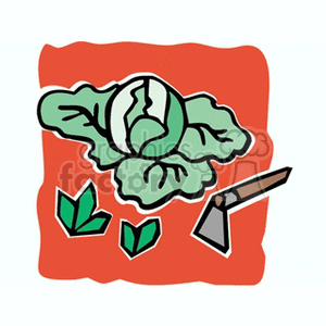 The image depicts a stylized drawing of a green cabbage surrounded by a few loose leaves on an orange background, with a garden hoe to the side, representing a theme of agriculture and vegetable gardening.
