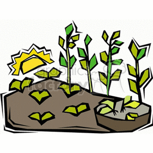 The clipart image shows a stylized illustration of young plants sprouting from a patch of soil, with a sun partially visible at the corner implying daylight and growth conditions. The plants appear to be simplified representations of sprouts, which could be indicative of early-stage bean or pea plants, based on general shape and the context provided by the keywords.
