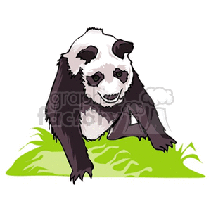 The clipart image features a cartoon of a panda bear sitting on grass. The panda has the characteristic black and white markings that are typical of the species.