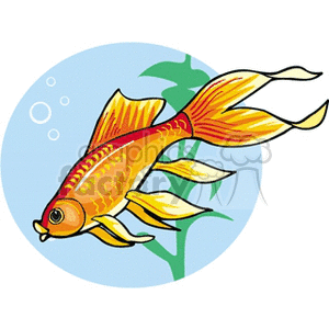 The image is a clipart illustration of a stylized orange and yellow fish, which resembles a goldfish. The fish is swimming in front of a few green aquatic plants, with a light blue background depicting water and some bubbles.