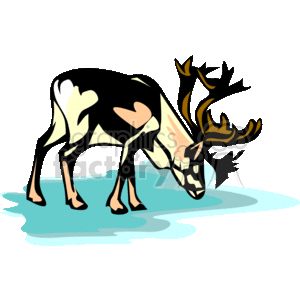 This is a stylized clipart image of a reindeer. The reindeer is depicted with distinct, exaggerated features such as a large, branched antler and spotted fur pattern. It appears to be standing on an icy surface, which might be suggestive of its natural Arctic habitat. This image may be associated with themes of wildlife, Christmas, or winter landscapes.