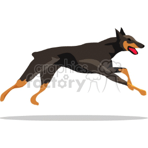 This clipart image features a Doberman Pinscher dog in mid-stride, running. The Doberman is stylized in a simplified graphic form, depicting its athletic physique and typical coloration with a sharp contrast between the dark body and lighter colored paws.