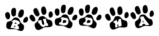 The image shows a series of animal paw prints arranged horizontally. Within each paw print, there's a letter; together they spell Buddha