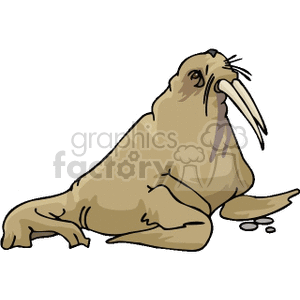 The clipart image depicts a cartoon of a walrus. The walrus is characterized by its large body, brownish skin, long tusks, and whiskers. It appears to be resting on the ground with some water droplets nearby, suggesting it may have just emerged from the water.