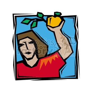 The clipart image depicts a stylized representation of a female farmer or gardener harvesting an orange or tangerine from a tree. The character has a serious expression and is reaching up to pick the fruit, which is still attached to a couple of leaves on the branch.