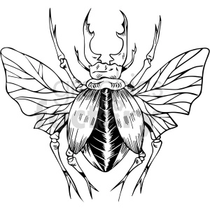The image is a black-and-white line drawing of a beetle. This insect appears to have large, detailed wings and an exaggerated horn protruding from its head, which suggests it might be representative of a rhinoceros beetle.